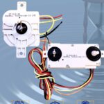 WhatsApp Image 2025-07-24 at 2.45.49 PM