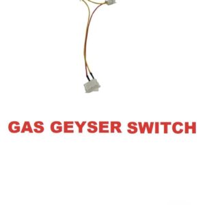 Geyser