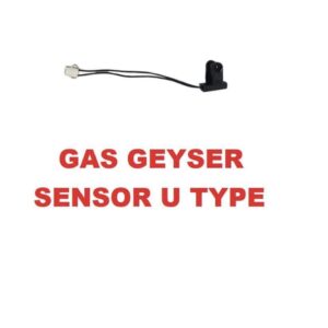 Geyser