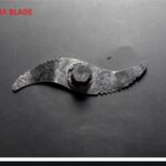 WhatsApp Image 2025-08-13 at 3.36.07 PM (1)